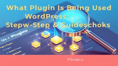 What Plugin Is Being Used WordPress guide illustration